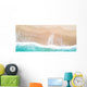 Aerial Sandy Beach and Water Wall Decal