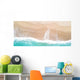 Aerial Sandy Beach and Water Wall Decal