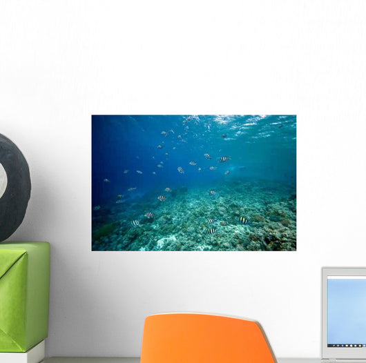 Coral and Fish Wall Decal