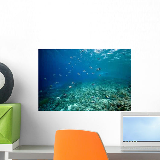 Coral and Fish Wall Decal