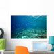 Coral and Fish Wall Decal