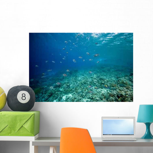 Coral and Fish Wall Decal