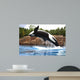 Killer Whale Wall Mural