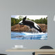 Killer Whale Wall Mural