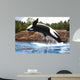 Killer Whale Wall Mural