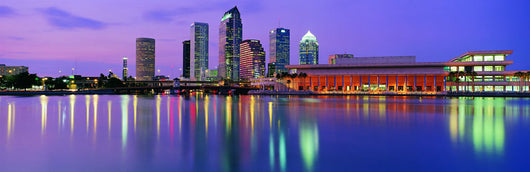 Tampa Bay Skyline 1 Wall Decal
