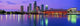Tampa Bay Skyline 1 Wall Decal