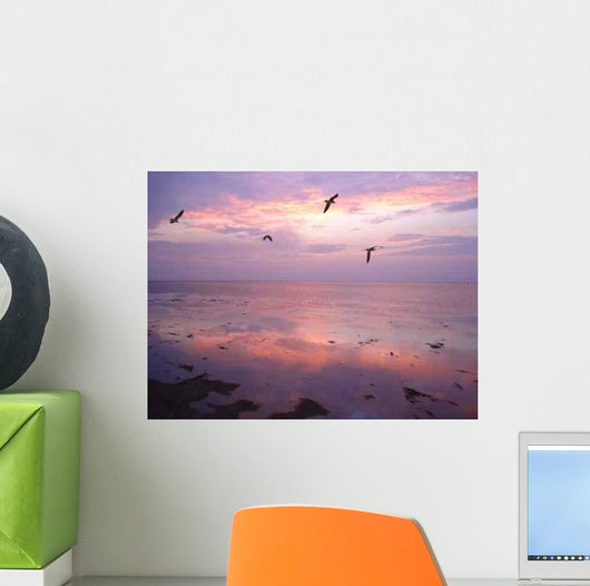 Birds over Water Sunset Wall Decal