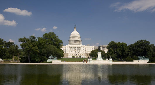 Washington Capitol Wall Mural