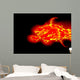 Fire Beast Wall Mural