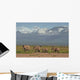 Elefantenherde Vorm Kilimanjaro Wall Decal