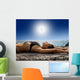 tanning Wall Mural