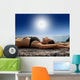 tanning Wall Mural