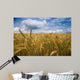 kornfeld Wall Mural