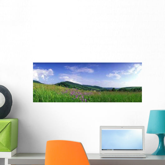 Sommerwiese Wall Decal