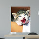 Kitten Wall Mural