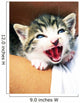 Kitten Wall Mural