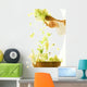Tossed Salad Wall Mural