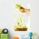 Tossed Salad Wall Mural