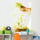 Tossed Salad Wall Mural