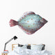 Flounder Fish Wall Decal