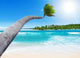 Tropical Paradise Wall Decal