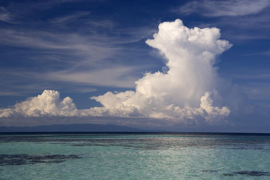 Open Sea and Cloud Wall Mural
