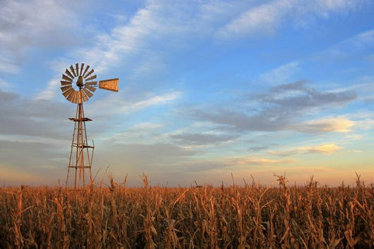 Texas Style Westernmill Windmill Wall Decal