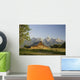 Old Mormon Barn in the Tetons Wall Mural