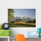 Old Mormon Barn in the Tetons Wall Mural