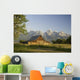 Old Mormon Barn in the Tetons Wall Mural