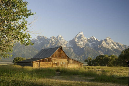 Old Mormon Barn in the Tetons Wall Mural
