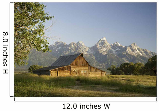 Old Mormon Barn in the Tetons Wall Mural