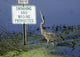 Gray Heron Wall Mural