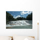 Agua Azul Wall Decal
