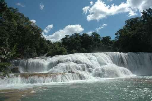 Agua Azul Wall Decal
