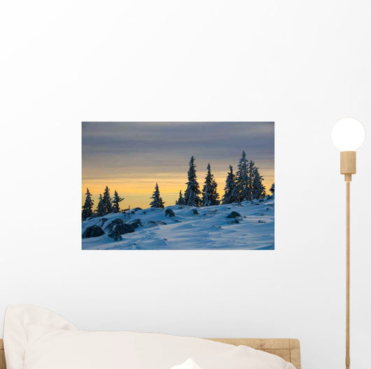 Schockl Wall Decal Design 2