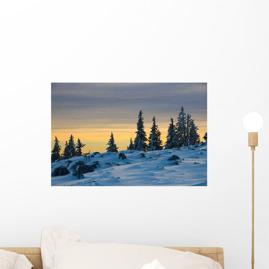 Schockl Wall Decal Design 2