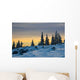 Schockl Wall Decal Design 2