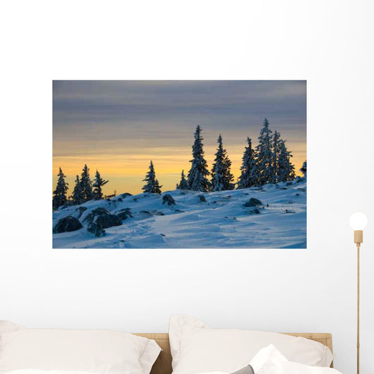Schockl Wall Decal Design 2