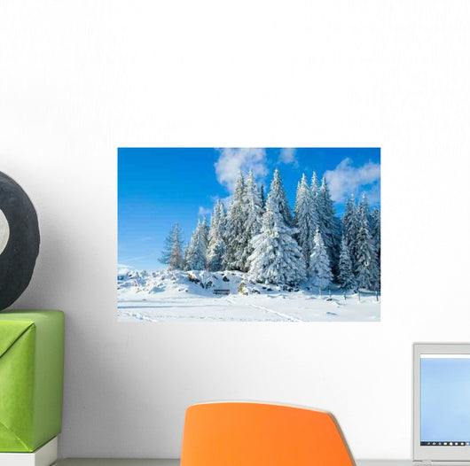 Schockl Wall Decal Design 1