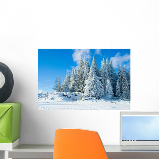 Schockl Wall Decal Design 1
