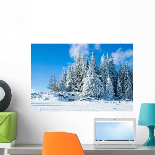 Schockl Wall Decal Design 1