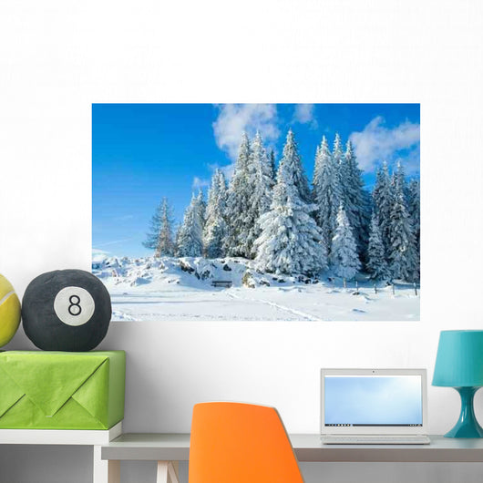 Schockl Wall Decal Design 1