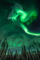 Northern Lights Spiral Shape Wall Decal
