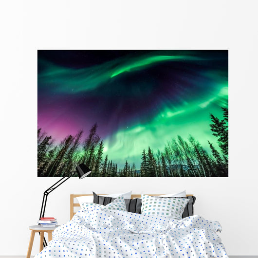 Green and Purple Northern Wall Decal