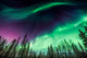 Green and Purple Northern Wall Decal