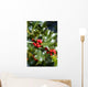 holly tree Wall Mural