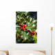 holly tree Wall Mural