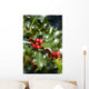 holly tree Wall Mural